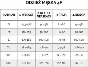 Bluza męska 4F M1768 szara 4FWMM00TSWSM1768 27M XXL 7