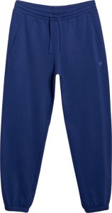 Spodnie męskie 4F CAS M1139 granatowe 4FWMM00TTROM1139 031S M 2