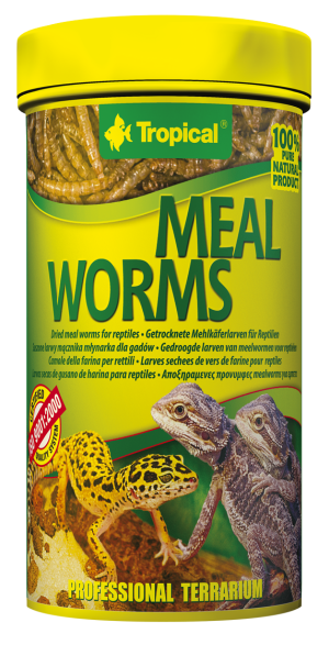 Tropical MEAL WORMS 100ML (29559) 1