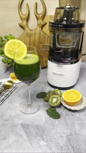 Wyciskarka wolnoobrotowa 4Swiss BM202 Biała 2