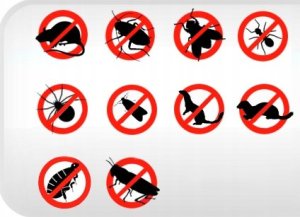 ODSTRASZACZ KUN, MYSZY,GRYZONI - DUO PRO NA KUNY 7