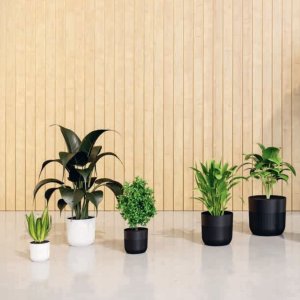 Doniczka okrągła LUCA PETIT 22 Donica Kwietnik 5