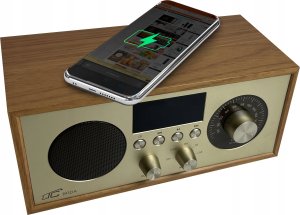 Radio przenośne Brda FM/BT/USB akum.2200mAh,10W,ładowanie indukcyjne telefonu,jasny brąz/złote 3