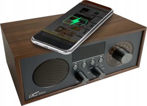 Radio przenośne Brda FM/BT/USB akum.2200mAh,10W,ładowanie indukcyjne telefonu,brąz/grafit 3