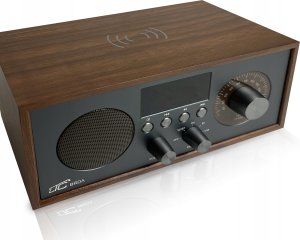 Radio przenośne Brda FM/BT/USB akum.2200mAh,10W,ładowanie indukcyjne telefonu,brąz/grafit 6
