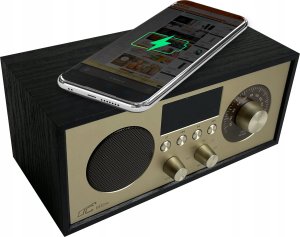 Radio przenośne Brda FM/BT/USB akum.2200mAh,10W,ładowanie indukcyjne telefonu,czarno-złote 4