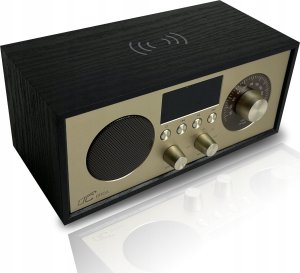 Radio przenośne Brda FM/BT/USB akum.2200mAh,10W,ładowanie indukcyjne telefonu,czarno-złote 6