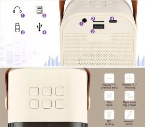 PRZENOŚNY ZESTAW KARAOKE GŁOŚNIK BLUETOOTH RGB DWA MIKROFONY USB MINI JACK 8