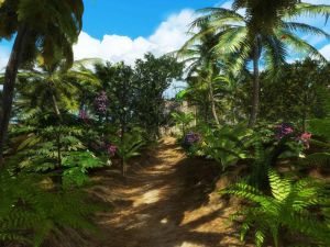 Kurs Wyspa Skarbów PC 3