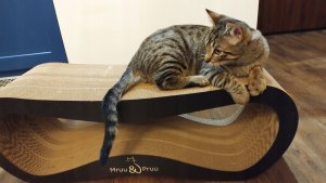 Drapak dla kota czarny mega LEON | 78x28x24 cm | MruuPruu 6