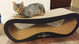 Drapak dla kota czarny mega LEON | 78x28x24 cm | MruuPruu 7