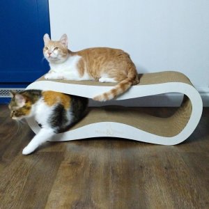 Mruu&Pruu Drapak dla kota biały mega LEON | 78x28x24 cm | MruuPruu 6