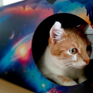 Drapak dla kota Kosmos | 53x28x30 cm | MruuPruu 8