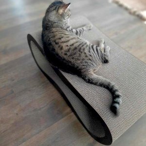 Drapak dla kota czarny XXL LEON |78x28x40 cm | MruuPruu 11