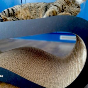 Drapak dla kota czarny XXL LEON |78x28x40 cm | MruuPruu 10