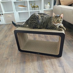 Mruu&Pruu DRAPAK DLA KOTA KARTONOWY WIELKI PROSTOKĄT XXL 60x35x30 cm 3