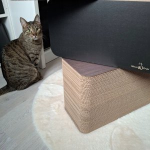 DRAPAK DLA KOTA KARTONOWY LEGOWISKO PIKSEL MRUU&PRUU 4