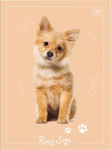 Zeszyt Notatnik Mały A6/32 Krata UV Puppy Sing Zwierzaki Interdruk 1