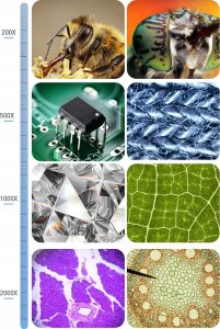 MIKROSKOP CYFROWY PROFESJONALNY 2000x 12MP 11LED EKRAN HD 7" 32GB MicroSD 9