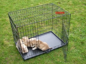 DUŻY KOJEC KLATKA METALOWA DLA PSÓW 122x78x88 XXXL 8