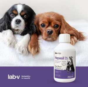 LAB V Lab-v Hepasil Dog & Cat preparat na poprawę funkcjonowania wątroby dla psa i kota 250 ml 3