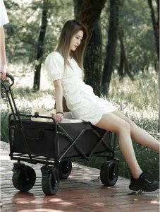 Wózek transportowy składany Gardlov 23084 8