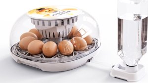 Inkubator do jajek Heckermann M12 3