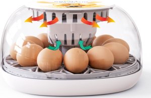 Inkubator do jajek Heckermann M12 4