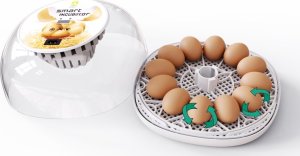 Inkubator do jajek Heckermann M12 6