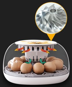 Inkubator do jajek Heckermann M12 9