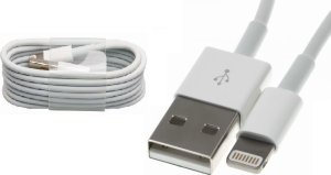 Oryginalny Kabel Usb Apple Ipad 4 Retina Air Mini 1