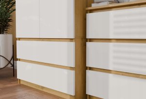 Szafa Malwa SS-90 ARTISAN BIEL 3