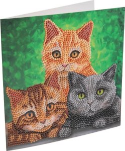 Cats, 18x18cm Crystal Art Card 1