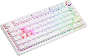Klawiatura Savio Phenix Gateron Red Pro (PHENIX WHITE GAT RED) 2