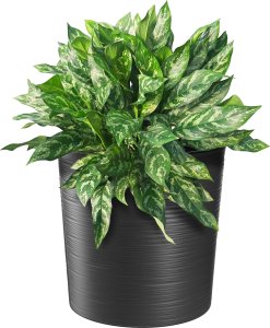 KADAX Doniczka Donica Na Kwiaty 25cm Osłonka Z Wkładem Kwietnik Plastikowa Grafit 9