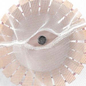 KADAX Filtr Do Prasy Wyciskarki Owoców 6L 10