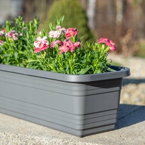 KADAX Skrzynka Balkonowa Doniczka Donica 40cm Antracyt Skrzynia Na Kwiaty 4