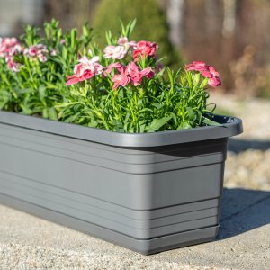 KADAX Doniczka Balkonowa Skrzynka Donica Na Kwiaty 40cm + Podstawka Antracyt 5