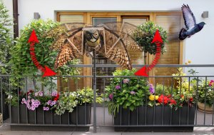 NO PEST Odstraszacz Ptaków Szpaków Kosów Gołębi Dzięciołów Mew Sowa z Ruchomymi Skrzydłami "Owl Guard" 11