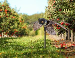 NO PEST Odstraszacz Ptaków Szpaków Kosów Gołębi Dzięciołów Mew Sowa z Ruchomymi Skrzydłami "Owl Guard" 10