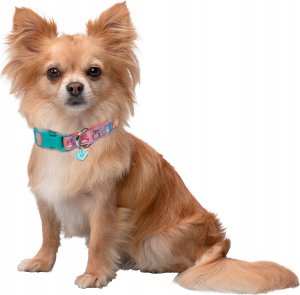 JAS PETS OBROŻA DLA PSA M 3