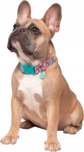 JAS PETS OBROŻA DLA PSA L 4