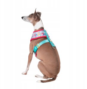 JAS PETS SZELKI DLA PSA M 2