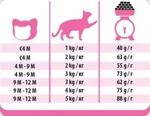 PREVITAL kurczak karma sucha karma kocięta 0,95kg 3