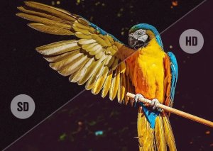 Telewizor Orava 24" TV, HD Ready, LED, Android, smart, 12 V/4A, Wi-Fi, HDMI, Bluetooth, Chromecast 9