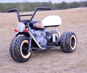 Language Lizard, LLC MOTOR CALIFORNIA SCOUT JAZDA NA TYLNYCH KOŁACH - 1600 WAT/LL6688 8