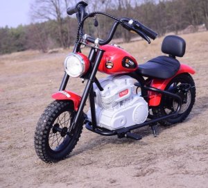 Szomik.pl MOTOR SPEED 12 PLUS POMPOWANE KOŁA, STALOWA RAMA/A9902 EDUKAMP 11