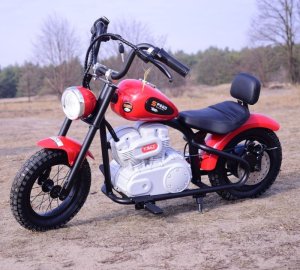 Szomik.pl MOTOR SPEED 12 PLUS POMPOWANE KOŁA, STALOWA RAMA/A9902 EDUKAMP 12