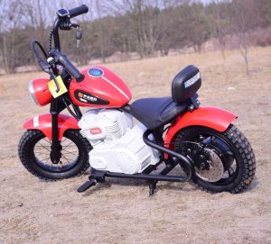 Szomik.pl MOTOR SPEED 12 PLUS POMPOWANE KOŁA, STALOWA RAMA/A9902 EDUKAMP 13