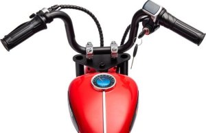 Szomik.pl MOTOR SPEED 12 PLUS POMPOWANE KOŁA, STALOWA RAMA/A9902 EDUKAMP 28